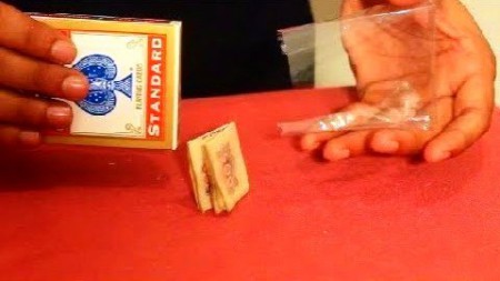 Amazing card to money magic trick!
